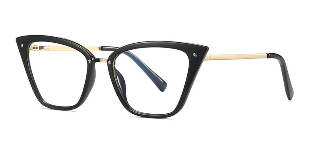TR90 & Metal Optical Frame OT2069 Black
