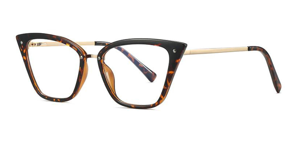 TR90 & Metal Optical Frame OT2069 Demi
